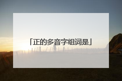 正的多音字组词是