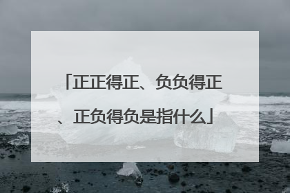 正正得正、负负得正、正负得负是指什么