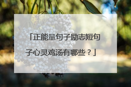 正能量句子励志短句子心灵鸡汤有哪些？