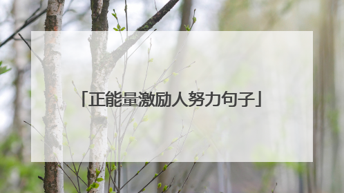 正能量激励人努力句子