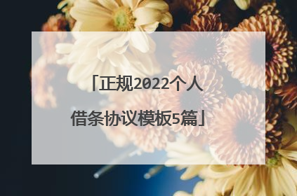 正规2022个人借条协议模板5篇