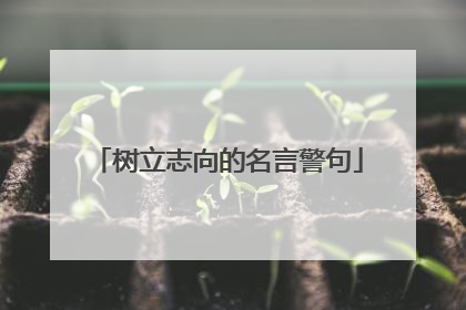 树立志向的名言警句