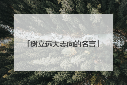 树立远大志向的名言