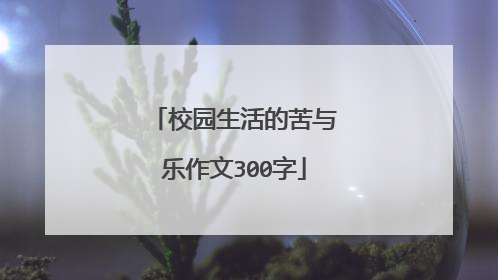 校园生活的苦与乐作文300字