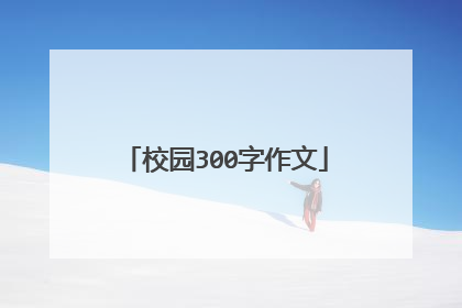 校园300字作文