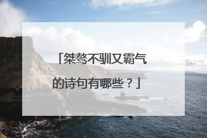 桀骜不驯又霸气的诗句有哪些?