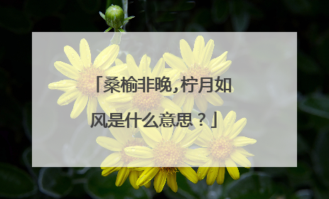 桑榆非晚,柠月如风是什么意思？