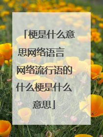 梗是什么意思网络语言 网络流行语的什么梗是什么意思