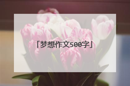 梦想作文500字