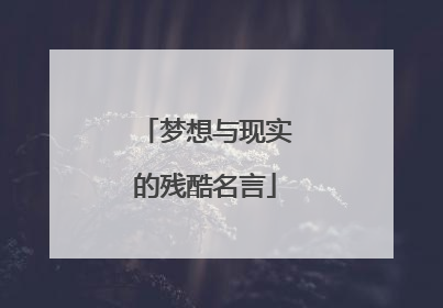 梦想与现实的残酷名言