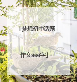梦想初中话题作文800字