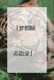 梦想励志语录