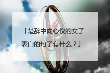 楚辞中向心仪的女子表白的句子有什么？