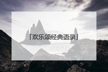 欢乐颂经典语录