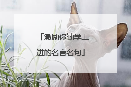 激励你勤学上进的名言名句