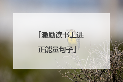 激励读书上进正能量句子