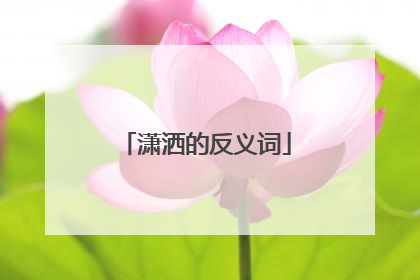潇洒的反义词