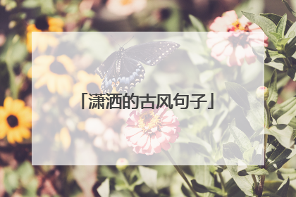 潇洒的古风句子