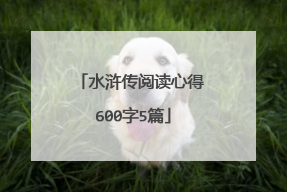 水浒传阅读心得600字5篇