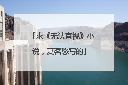 求《无法直视》小说,夏茗悠写的