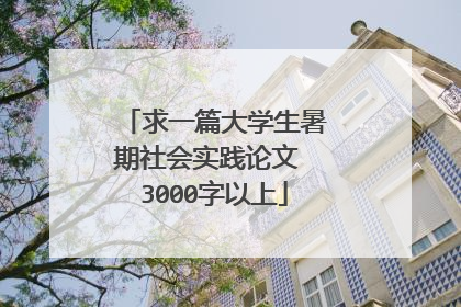 求一篇大学生暑期社会实践论文 3000字以上