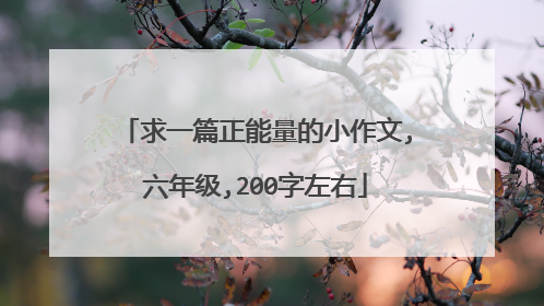 求一篇正能量的小作文,六年级,200字左右