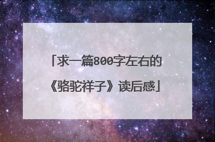 求一篇800字左右的《骆驼祥子》读后感