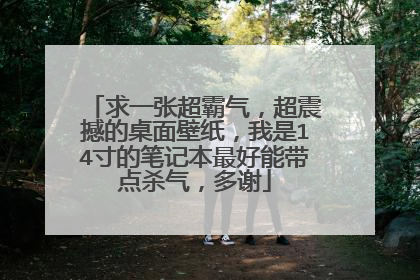 求一张超霸气,超震撼的桌面壁纸,我是14寸的笔记本最好能带点杀气,多谢