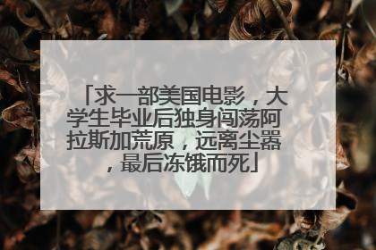 求一部美国电影，大学生毕业后独身闯荡阿拉斯加荒原，远离尘嚣，最后冻饿而死