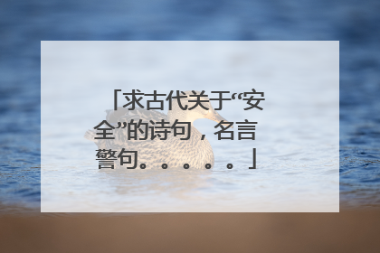 求古代关于“安全”的诗句，名言警句。。。。。