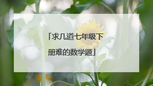 求几道七年级下册难的数学题
