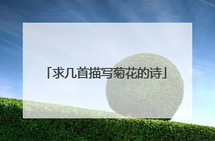 求几首描写菊花的诗