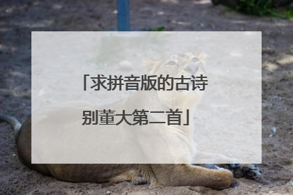 求拼音版的古诗别董大第二首