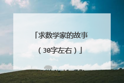 求数学家的故事（30字左右）