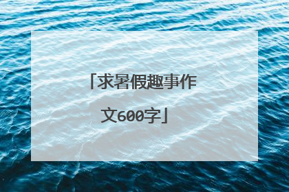 求暑假趣事作文600字