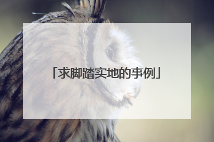 求脚踏实地的事例