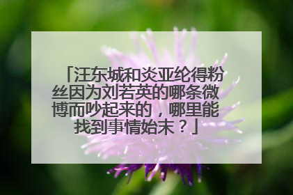 汪东城和炎亚纶得粉丝因为刘若英的哪条微博而吵起来的，哪里能找到事情始末？