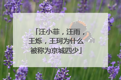 汪小菲，汪雨，王烁，王珂为什么被称为京城四少