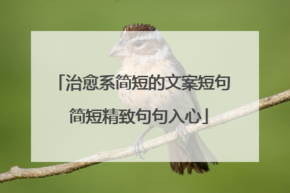 治愈系简短的文案短句 简短精致句句入心