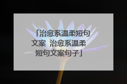 治愈系温柔短句文案 治愈系温柔短句文案句子