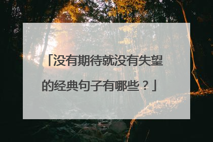 没有期待就没有失望的经典句子有哪些?