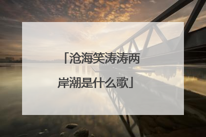 沧海笑涛涛两岸潮是什么歌