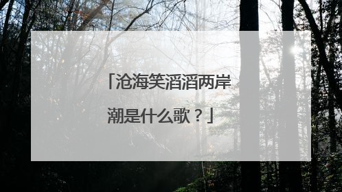 沧海笑滔滔两岸潮是什么歌？