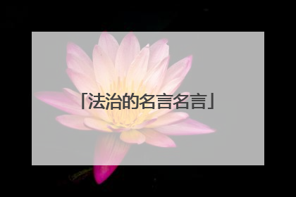 法治的名言名言