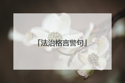 法治格言警句