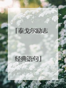 泰戈尔励志经典语句
