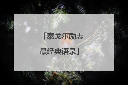 泰戈尔励志最经典语录
