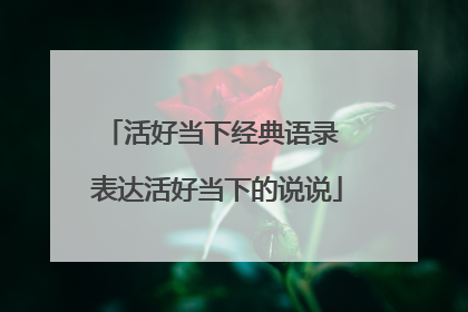 活好当下经典语录 表达活好当下的说说