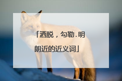 洒脱，勾勒.明朗近的近义词