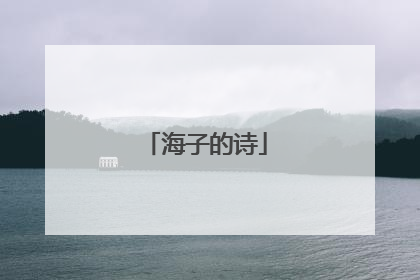 海子的诗